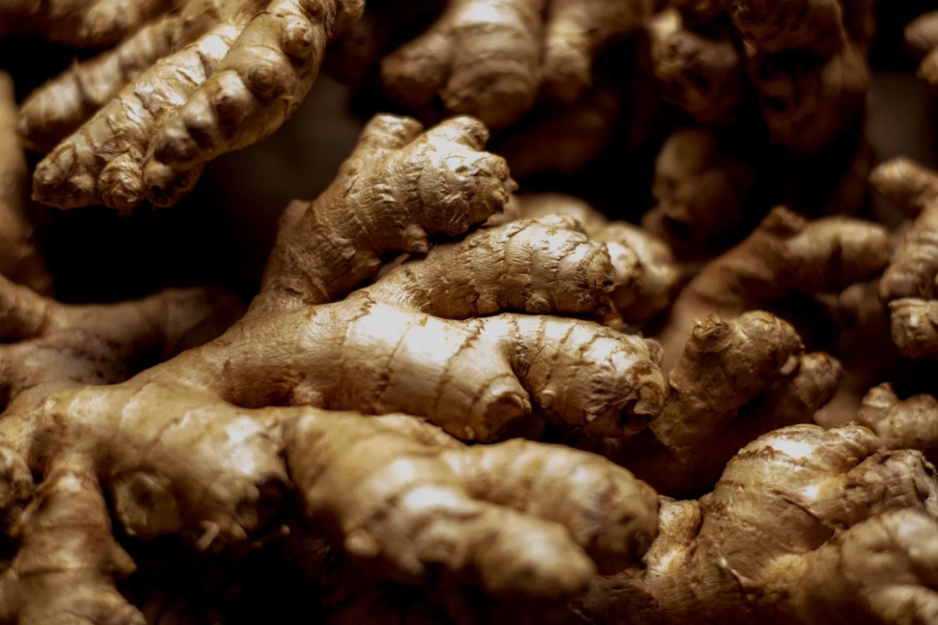 Clé de Peau Beauté Eye Contour Cream Supreme chiết xuất gừng lempuyang